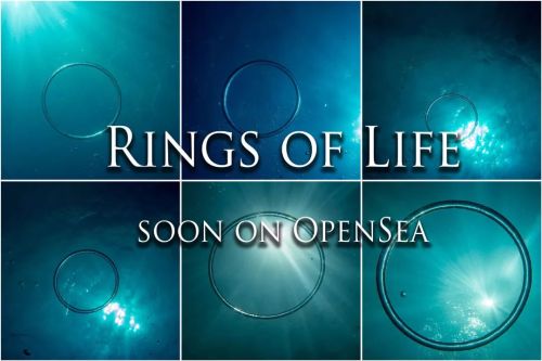 Rings of life my new collection soon as #nft on @opensea#nftphotography#underwaterNFThttps://w