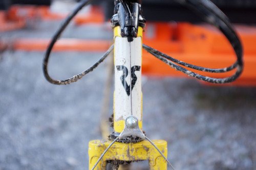 believeincycling: I love these bikes and the yellow may be my favorite.