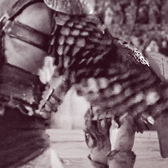 mysnarkyself:Spartacus meme: ↳ Gladiators (1/7): Crixus