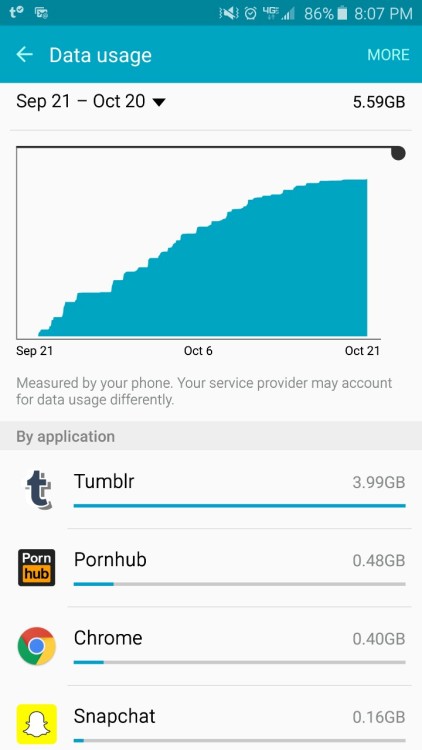 thebetterbuttbureau: A brief description of my life.