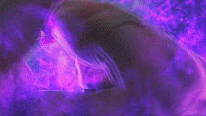 Kazuya Gif Explore Tumblr Posts And Blogs Tumgir