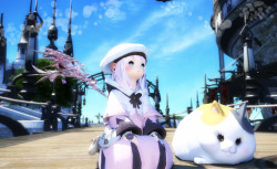 emeraldcarbuncle:  Thanks to Dry, I have joined the Fat Cat owner club! He’s so precious! ♥ He was my good luck charm for farming T10 to get the dumb head piece (finally got it)! 