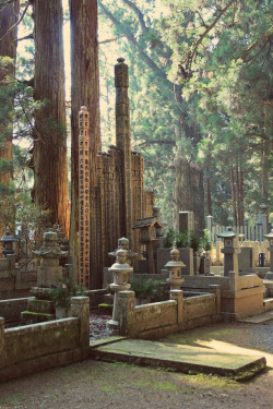 iesuuyr:Okunoin’s cemetery, Japan |   