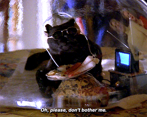 Sabrina The Teenage Witch – 4.18: Dreama The Mouse