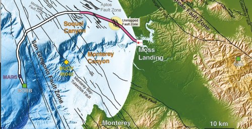 Der Meeresgrund gehört zu den am wenigsten erkundeten Bereichen unseres Planeten – dies gilt auch fü