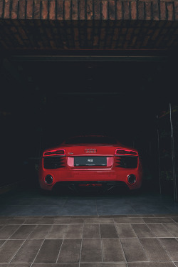 mistergoodlife:  In the Shadows • Mr. Goodlife