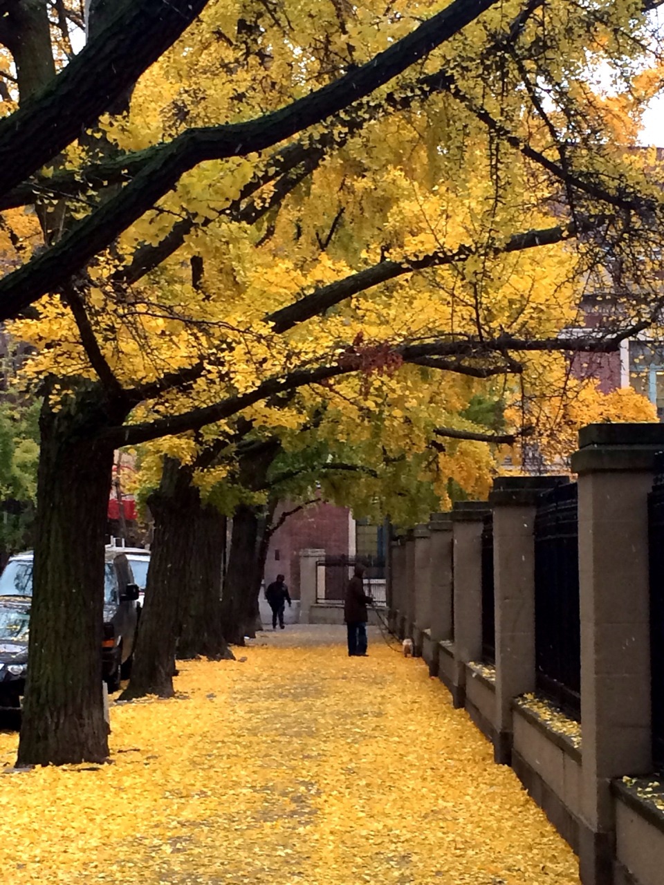 yellow, nyc