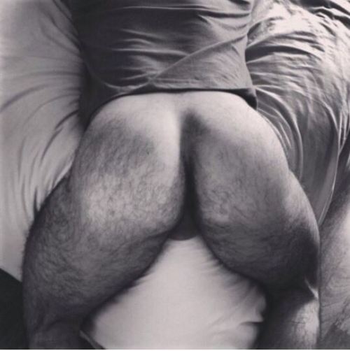 redmannuts:flasseatr:palmspringscumdump:Nice hairy assWould eat each one…….one right after the other