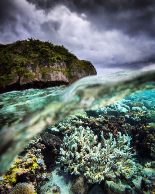 paulzizkaphoto:  Stormy skies above but lying just below the turbulent waters there’s a hidden, tropical paradise! This little island is full of hidden delights waiting to be discovered. #nowherelikeniue @ballwatch @manfrottoimaginemore #shotoncanon