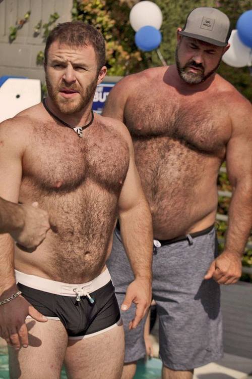 Bears do Bears