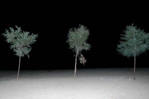 greek-artists-on: Photography by Ioannis StefanidisFollow on tumblr: ioannisstefanidis
