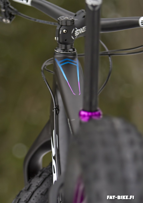oldklein:  Purple edition - Salsa Beargrease Carbon -90´s is back!