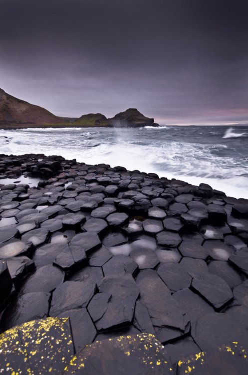 beautifulnowis:  Polygonal columns of layered basal make this shoreline remarkable. Photo by jogorman. Giant’s Causeway, Co. Antrim, Ireland. 