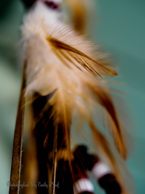Feathers on a Dream Catcher