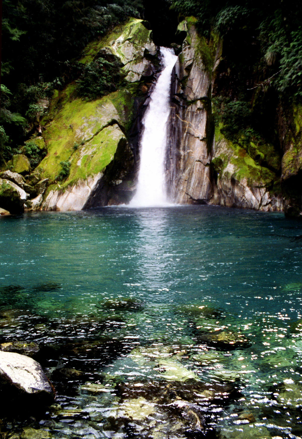 theencompassingworld:  breathtakingdestinations:  Fiordland National Park - New Zealand