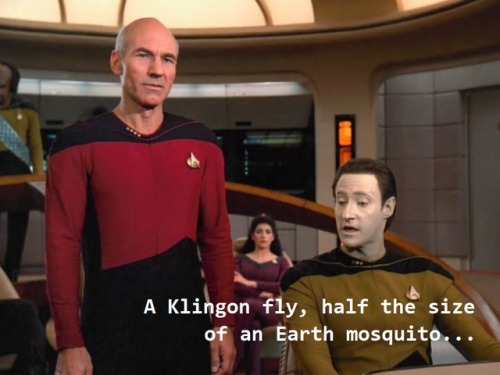 Star Trek: The Next Generation S2 E4 “The Outrageous Okona” 22:00This is the funniest thing I’ve eve