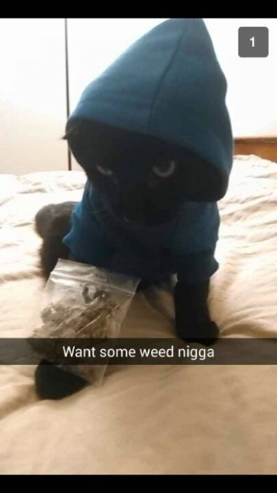 princessdruggie:  idk why I’m laughing really hard
