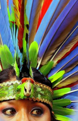 Blue-Cattleya:danzante De Danzas Prehispanicas, Queretaro, Mexico Por Jduquetr En