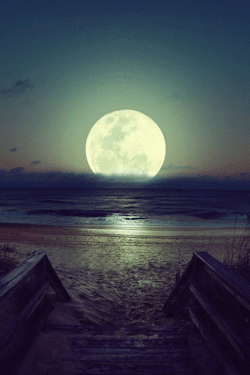 wv-always:  LSD | via Tumblr on We Heart It - http://weheartit.com/entry/96496248 