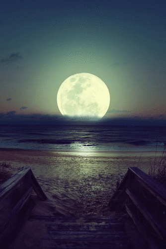 wv-always:  LSD | via Tumblr on We Heart It - http://weheartit.com/entry/96496248 