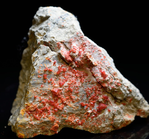 emeraldcityminerals:Cherry red realgar (As4S4) on matrix. From the Royal Reward Mine, Green River Go