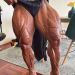 muscleaddictza:Lucas Coelho