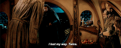 thorinoakeshield:  thorin “i have no fucking clue where i’m going but follow