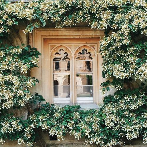 softradical:floralls:Magdalen College, Oxfordby  driabchenko@deerkin !!!