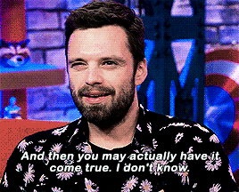 In Case You Needed It, Here Is Sebastian Stan Validating Writing Fanfiction.