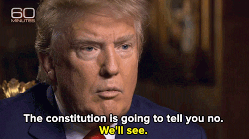 leela-summers: jnc-ink: big-sugar: micdotcom: Watch: Donald Trump wants to round up undocumented imm