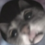 elbozonewbie