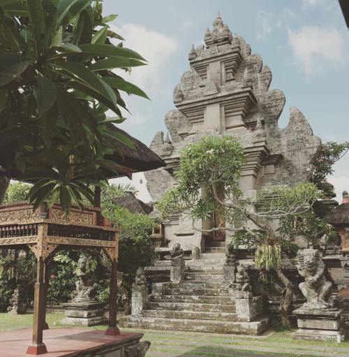 philippwuelfing: Hallo Bali! #thesunnyside #vlog #travel #youtube #bali #indonesien (hier: Ubud)