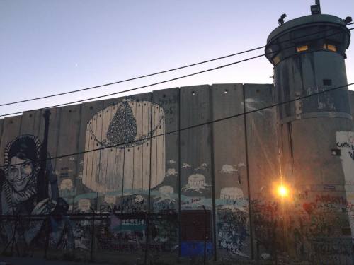 momo33me:The sunset peeking through a crack in the Israeli apartheid wall in Bethlehem.