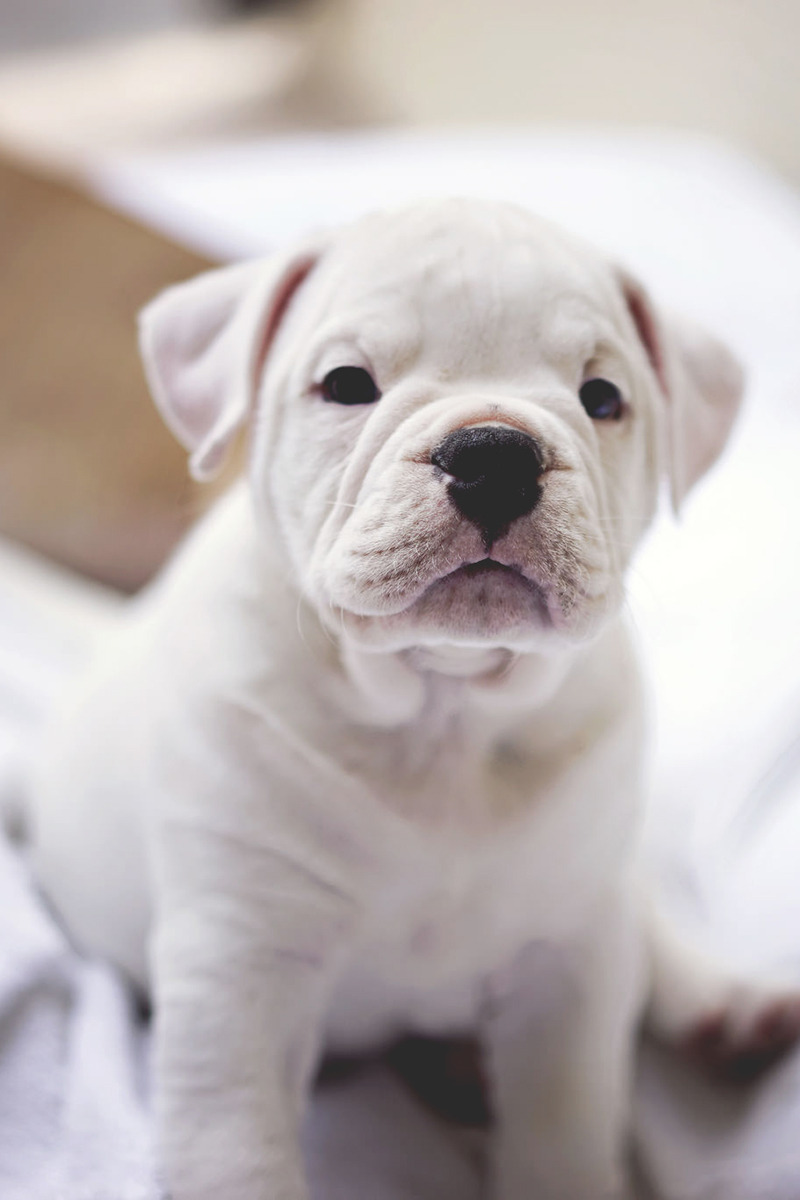 motivationsforlife:  Benny Blanco by @djmurdokphotography // Edited by MFL Go follow