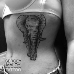 1337tattoos:  Sergey Maloy