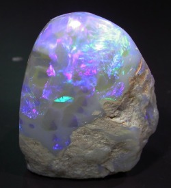 crystallinedaydream:  black opal from Australia