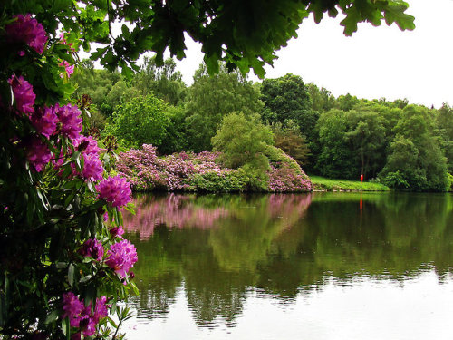 Callendar Park Pond