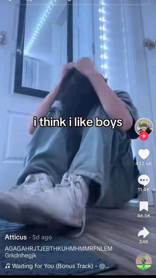 Tumblr media