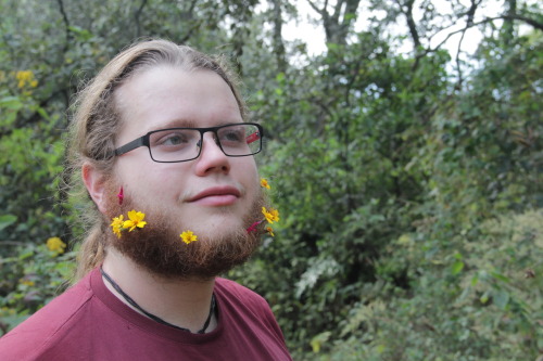 fuckyeahvikingsandcelts:  Yesterday I went for a hike in the wooden mountains near Tepoztlán, the town where my father lives, and it was magnificent, I even grew a flower beard!