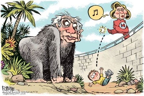 gotitforcheap: kramergate: agoodcartoon: wtf? wh…? what does this mean ? hilary wants a zoo k