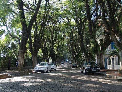 solarpunk-aesthetic:Rua Gonçalo de CarvalhoPorto Alegre, BrasilImage sources: x x x