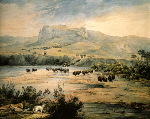 Landscape with Herd of Buffalo on the Upper Missouri, Karl Bodmer, 1833