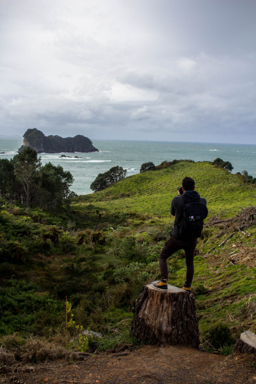 Coromandel Peninsula, New Zealand.