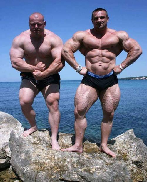 wrestlehead:  Petr Petras, Tomas Kaspar