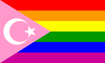 ideas-of-immortality: sixlunamoths:   phoenixcollective:   ideas-of-immortality:  To all the folx getting pissy over the Philadelphia Pride Flag: what about all these other Pride flags?  Seriously… if the only flag that upsets you is the one made by