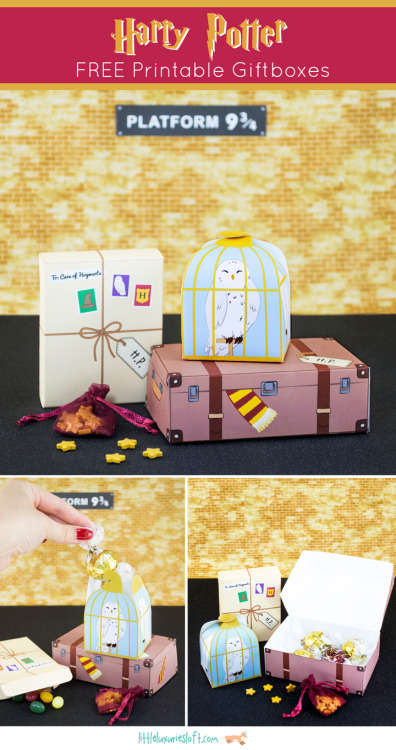 DIY Harry Potter Free Printable BoxesThese are some of the best Harry Potter themed boxes I’ve seen 