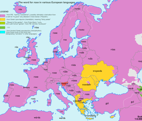 micdotcom:  9 fascinating maps show how common words developed over land and time  We may live in an increasingly globalized world, but we often forget that the intermingling of cultures and languages far precedes the advent of laptops and smartphones.