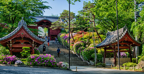 ourbedtimedreams:Stairs of Spring by Nemashou!
