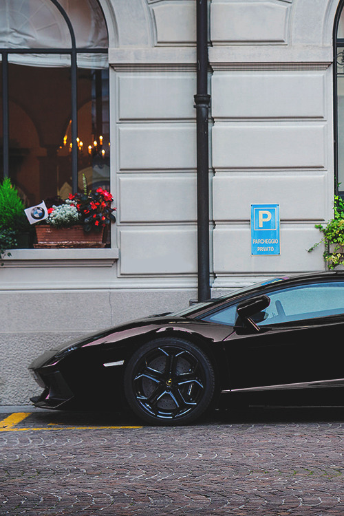 wearevanity:  Lamborghini Aventador 