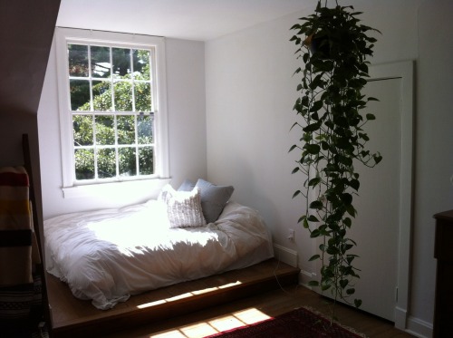 This reminds me of a cozy upstate cottage. I love the window and the fact that the bed is tucked underneath. The sunlight casts just enough warmth onto the spread. That plant is also one that I would love to cherish in our apartment. A big thanks to...